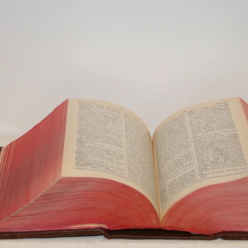 Copyright of Webster's Dictionary