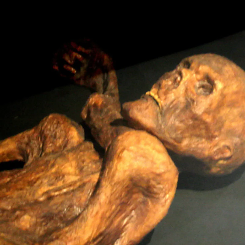 Discovery of Ötzi the Iceman
