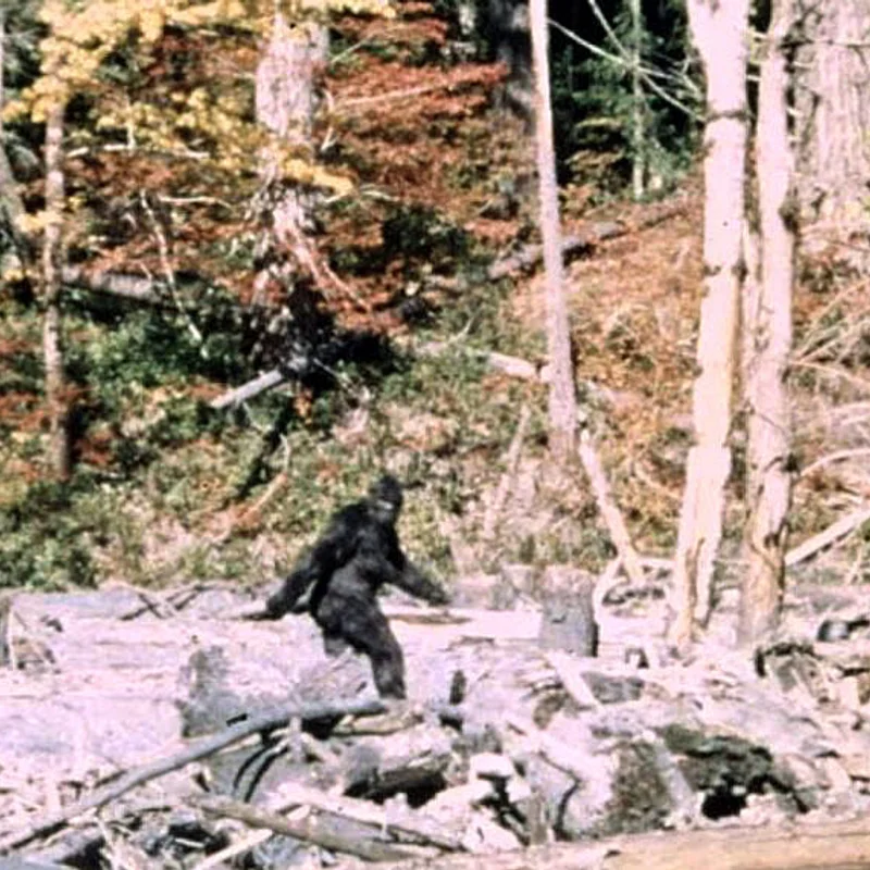 Patterson-Gimlin Bigfoot Film
