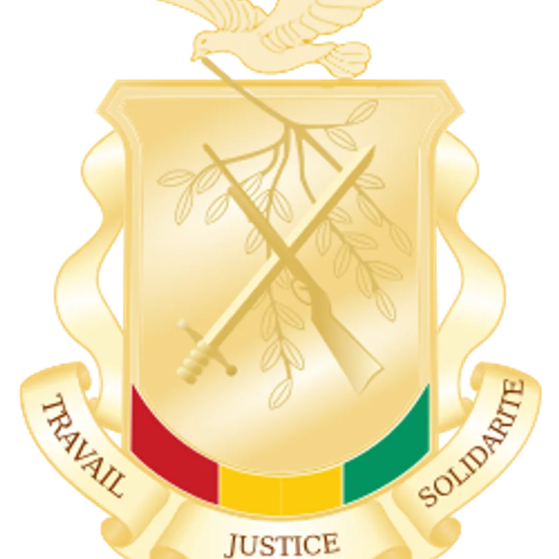 Outbreak of the Guinean Coup