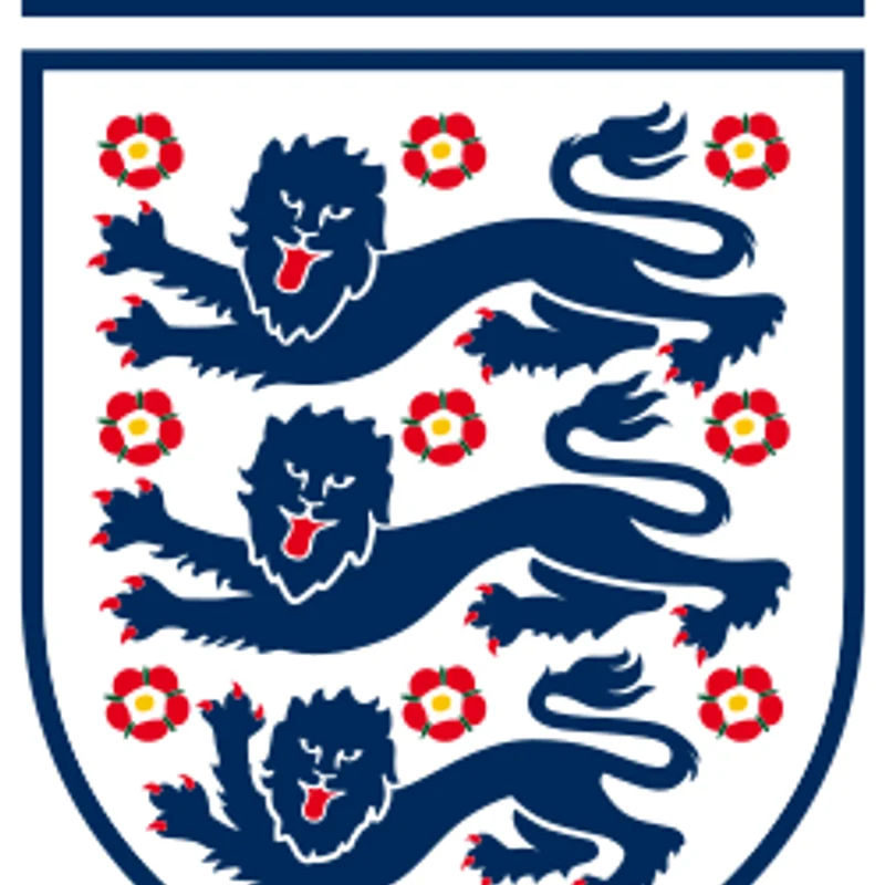 Relocation of Wimbledon F.C.