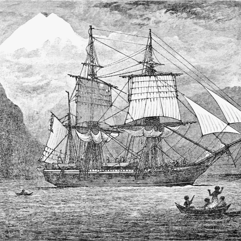 Launch of HMS Beagle