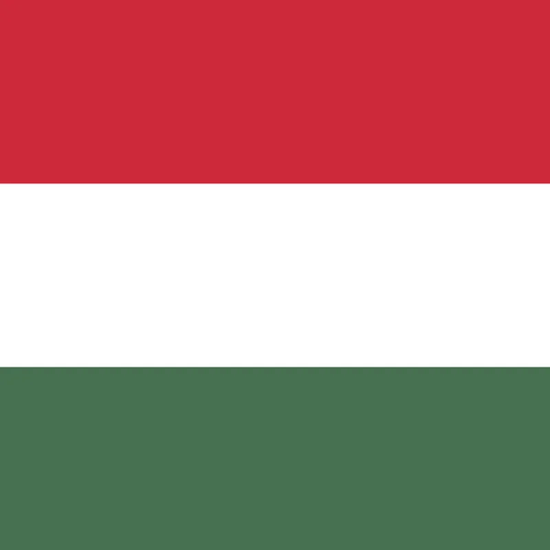 Peter Becomes King of Hungary