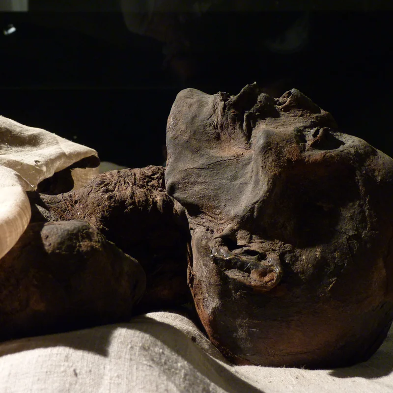 Discovery of Sogen Kato's Remains