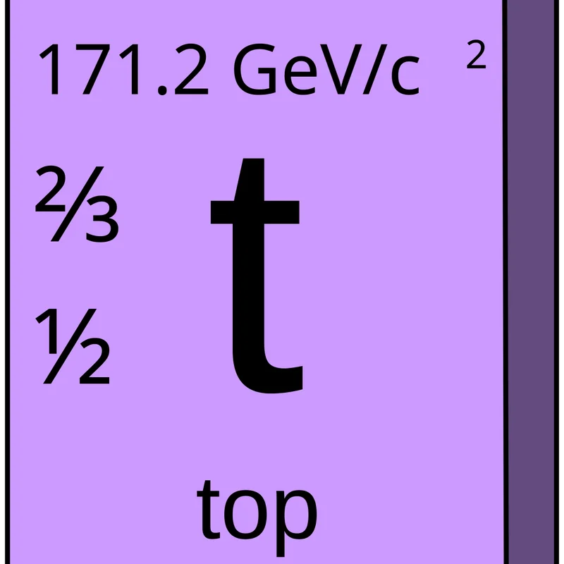 Discovery of the Top Quark