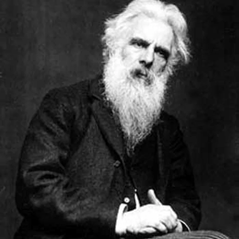 Eadweard Muybridge's Horse Motion