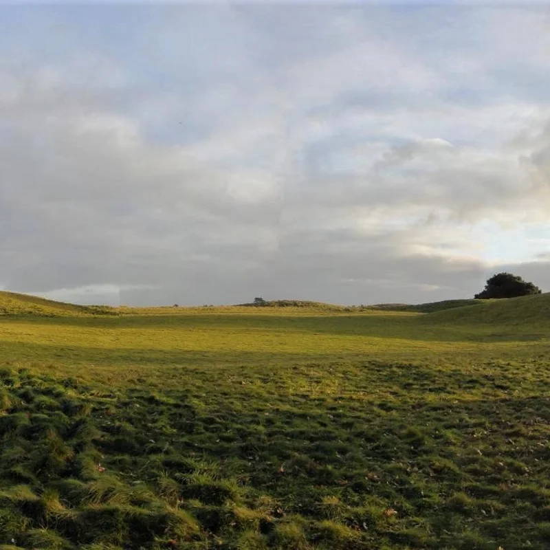 Unveiling of Sutton Hoo Visitor Centre
