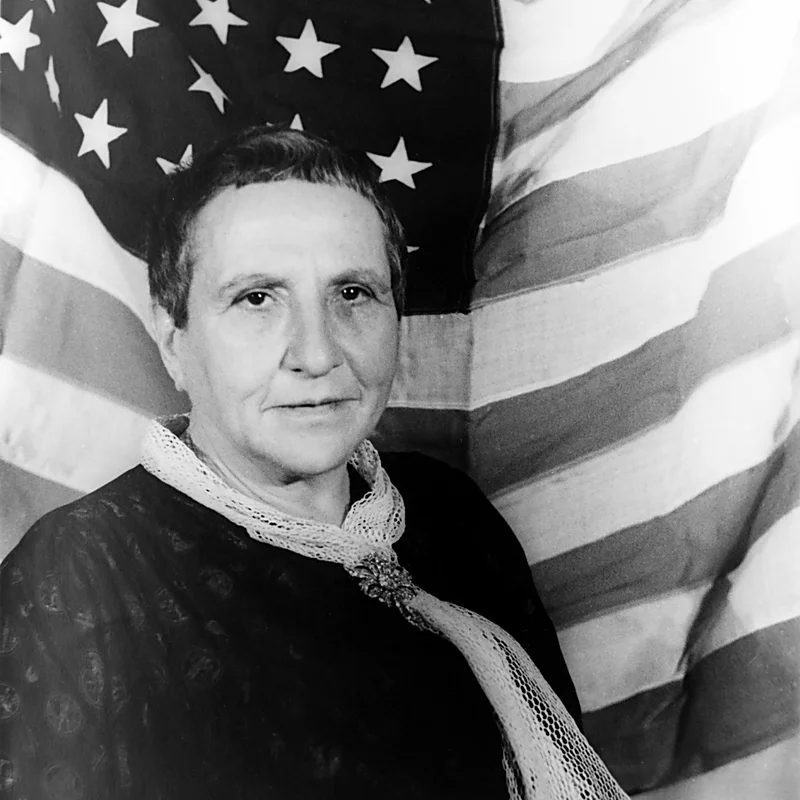 Stein Meets Toklas