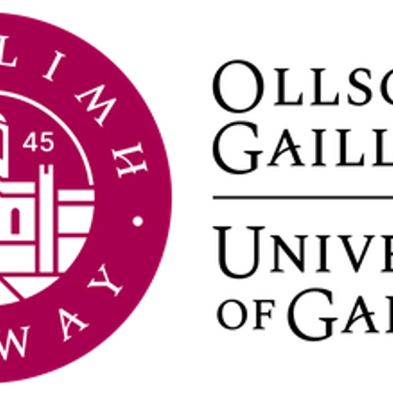 Establishment of Irish Universities