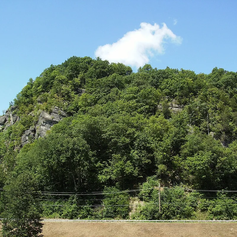 Purchase of Joppenbergh Mountain