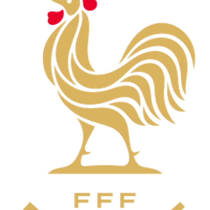 France Wins First World Cup