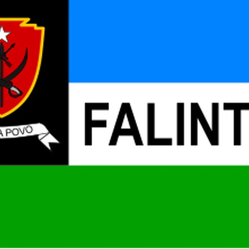Establishment of Timor-Leste Defence Force