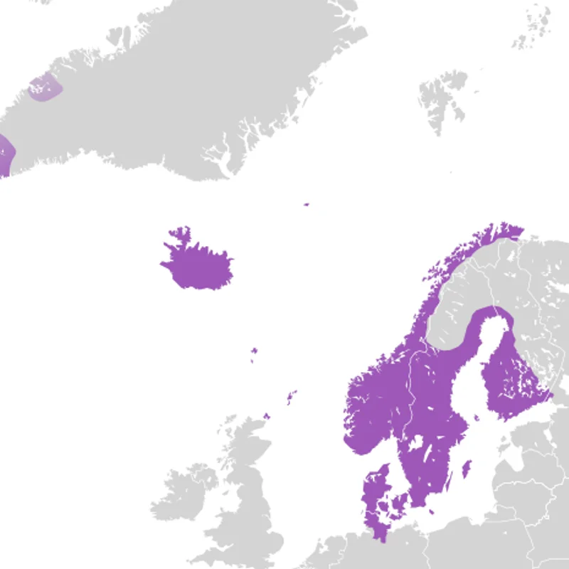 Formation of Kalmar Union
