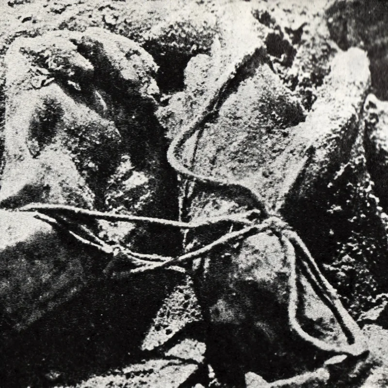 Discovery of Katyn Mass Grave